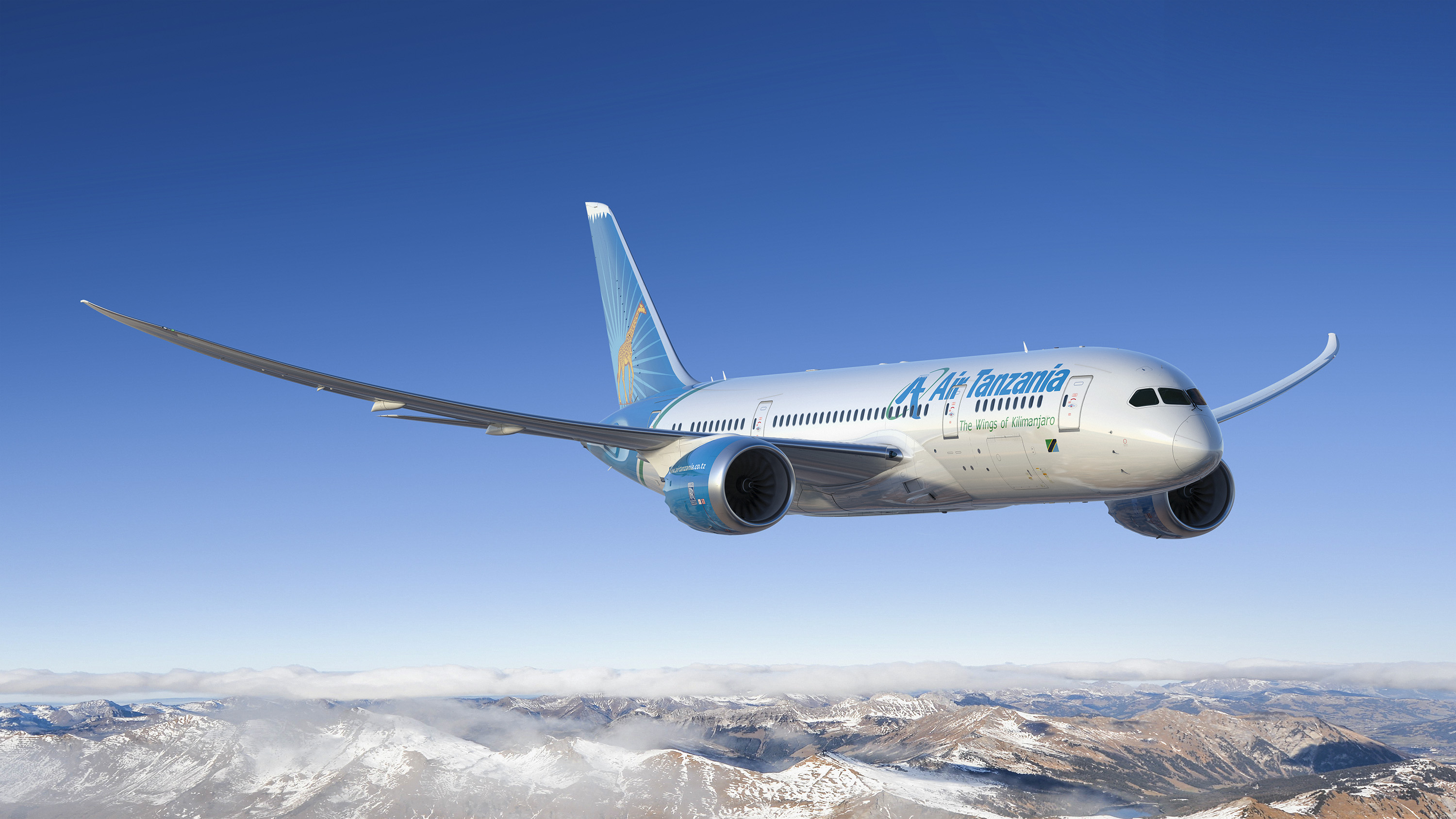 Air Tanzania Dreamliner in flight